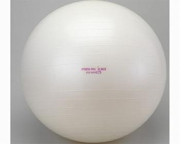 アルインコ/エクササイズボール 65cm / EXG025