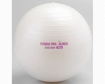 アルインコ/エクササイズボール 30cm / EXG024