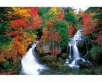 竜頭の滝　－紅葉まとう－ / 101224