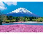 富士山　－芝桜の郷－ / 220001