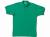 ポロシャツ（半袖） / 3L　グリーン01